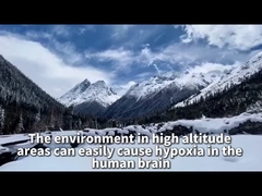 पठार प्रसार ऑक्सीजन जनरेटर