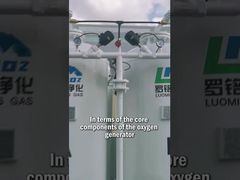 लुओमिंग ऑक्सीजन जनरेटर - मुख्य घटक और सिस्टम डिज़ाइन